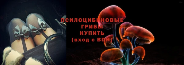винт Бронницы