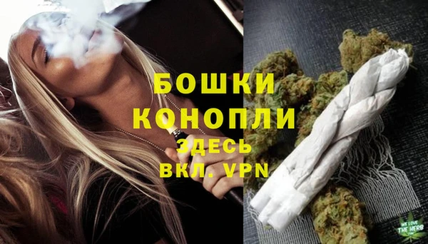 винт Бронницы