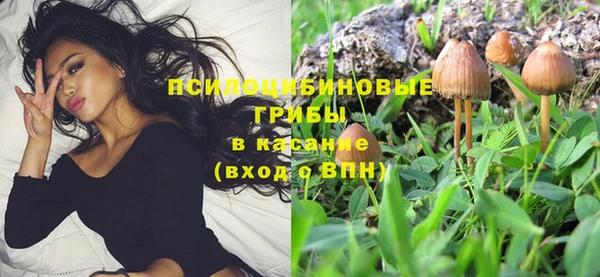 apvp Вязники